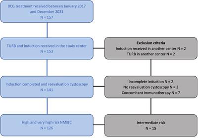 Antibiotic therapy impact on intravesical BCG therapy efficacy for high-risk localized bladder cancer treatment